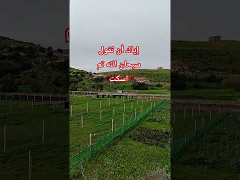 Hadith PropheticSaying Sunnah TheMessengerOfAllahSaid Muhammadﷺ Islam MyReligion Reminder 