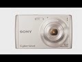Sony Cyber-Shot DSC-W510 12.1 MP Digital Still Camera with 4x Wide-Angle Optical Zoom Lens and 2.7