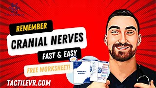 Cranial Nerves Made Easy for Nurses | Nursing Study Tips & Hacks | Intulect Nursing