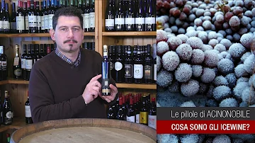 Che vino si beve con la pasta?