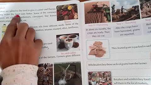 Class -4.EVS.Chapter -13.Food we Eat