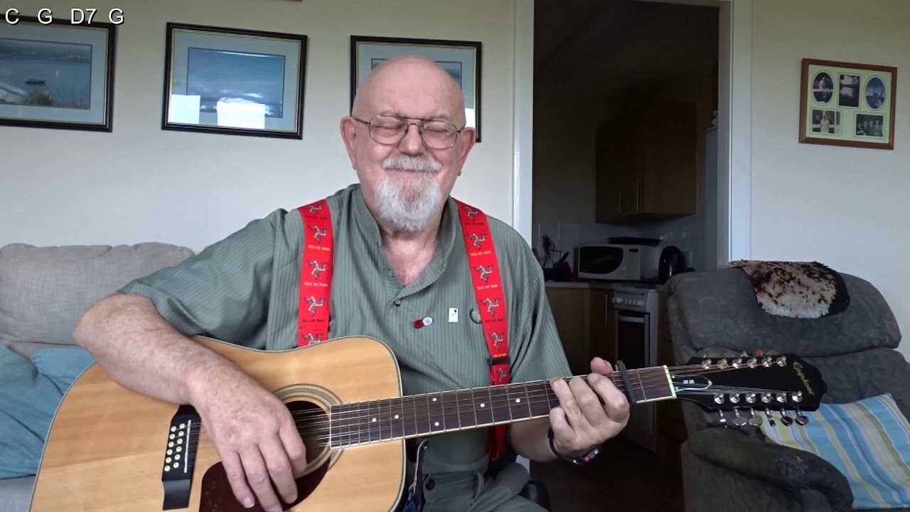 12 String Guitar All The Little Chickens In The Garden Including