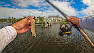 Do BIG Docks Mean BIG Fish?? (Live Shrimp Fishing)