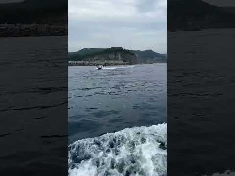 積丹水中展望船 ニューしゃこたん号 (Shorts 1) -- 北海道積丹町 / Shakotan, Hokkaido (2024/7/21)