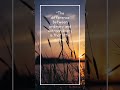 Life Quote #quotes #nature #sunset