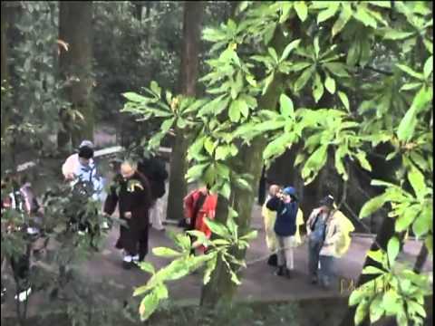 Video Chuyến Hành Hương Tứ Đại Danh Sơn Phật Giáo Trung Quốc... - youtube