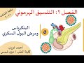 شرح أحياء الصف الثالث الثانوي - النظام الجديد 2021- التنسيق الهرموني: البنكرياس والبول السكري