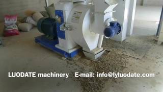 Grass Pellet Feed Production Line, Hay pellet mill, pellet machine (Cattle & Sheep & Goat & Camel )