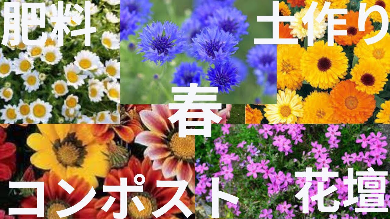 Vol: 9 #春 #大禹謨公園 #梅林学区子ども会連合会 #ジュニアリーダー育成プロジェクト @SUSTAINABILITYBYSWACHHTA