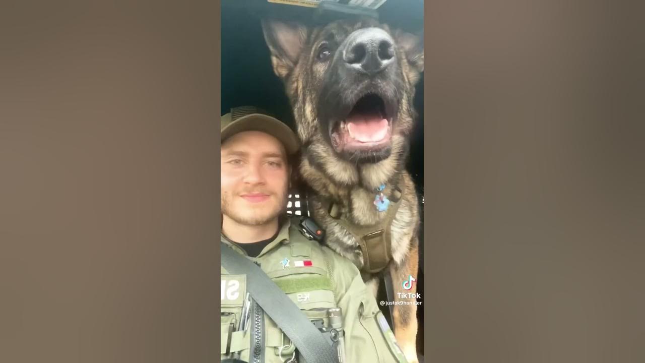 You Wont Believe How Big This K9 Is!