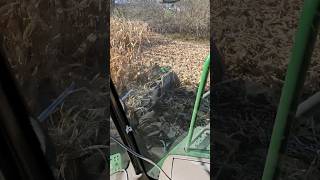 LAST END ROW ON THE PEAT BOG FIELD #farming #agriculture #farmer #farmlife