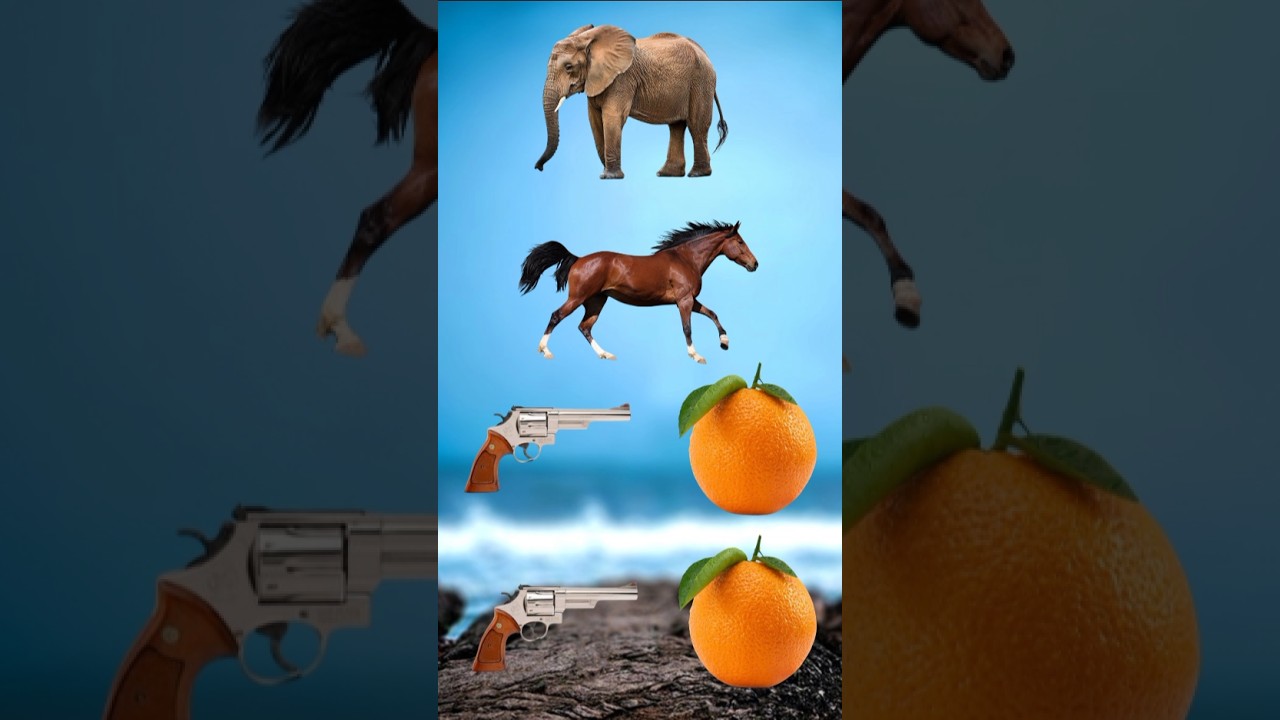 Orange and Hathi Ghoda Bagh Sher ki video 