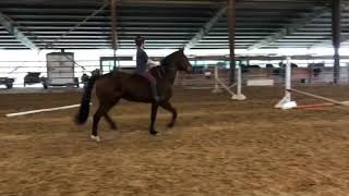 Gwendolyn || Bareback Hack