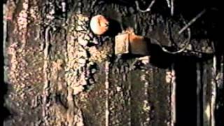 Ontario Fire Marshal.[4x3].flv