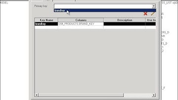 OBIEE 11g Dimension Hierarchies - OBIEE Online Training