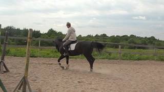MVI_7837.AVI