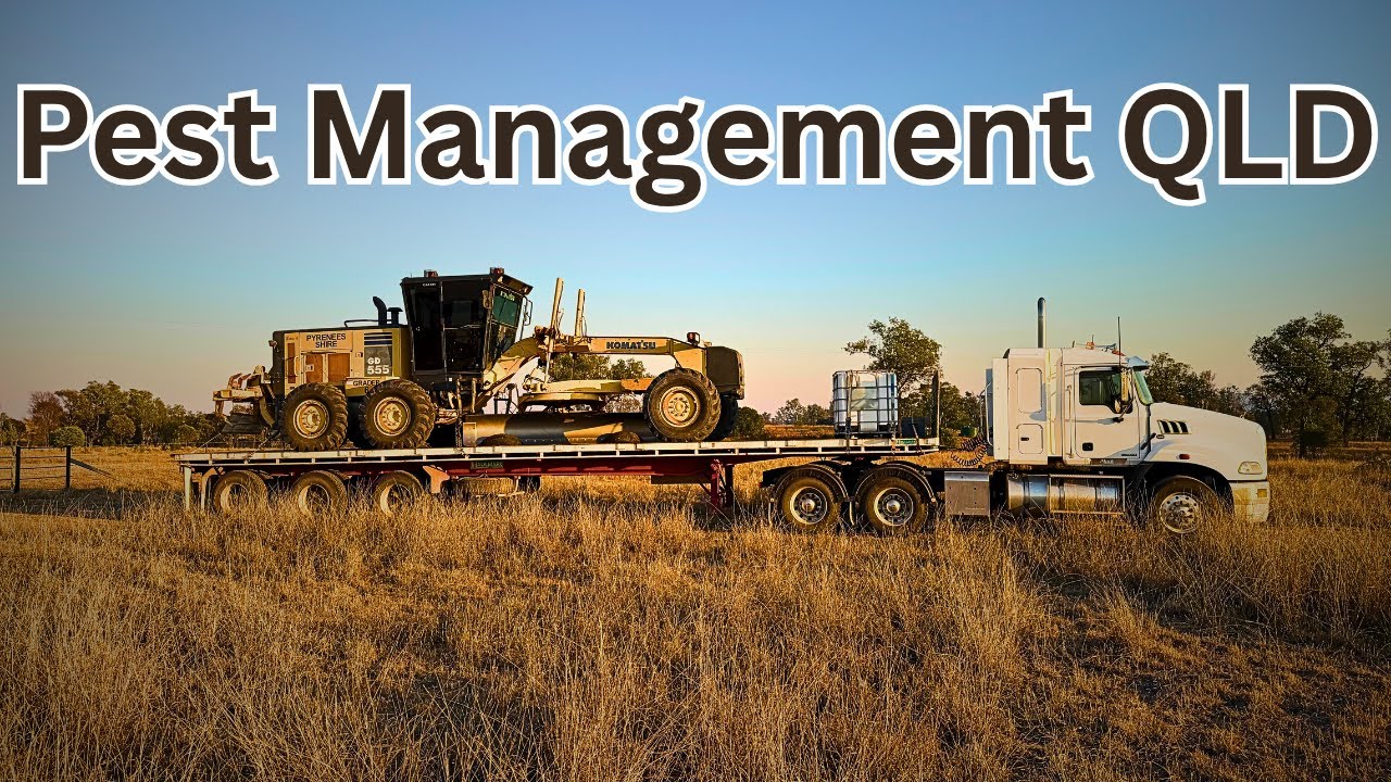 Отлов собак и очистка противопожарных полос. Часть 1