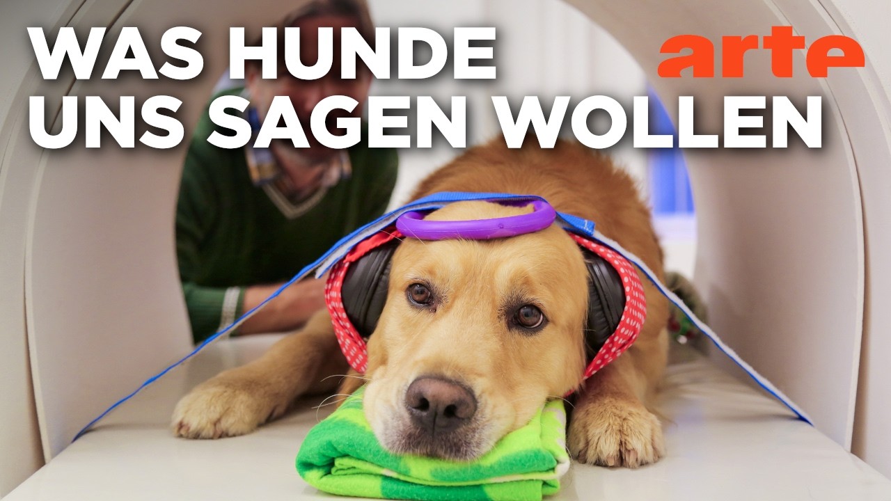 Wissenschaftsdokus