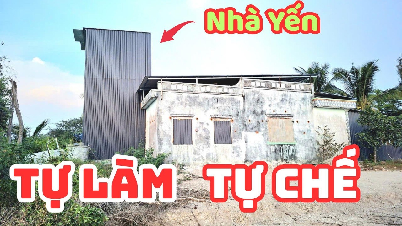 Фермер Лонг Ан успешно построил собственную ферму по разведению стрижей: он удивил весь регион - ...