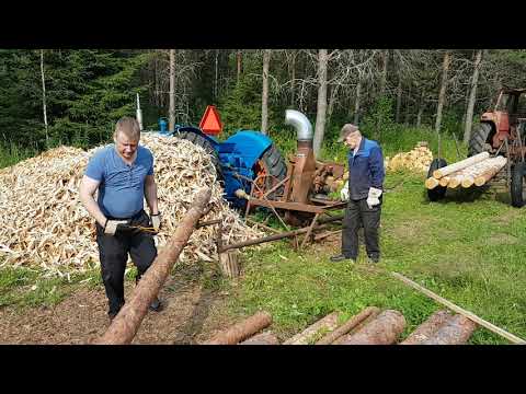 Video: Puut Nukahtavat Myös Pimeällä - Vaihtoehtoinen Näkymä