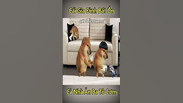 Cái Gia Đình Bất Ổn Của Anh Đen Xì Xì 🤣- Tập 31 #shorts