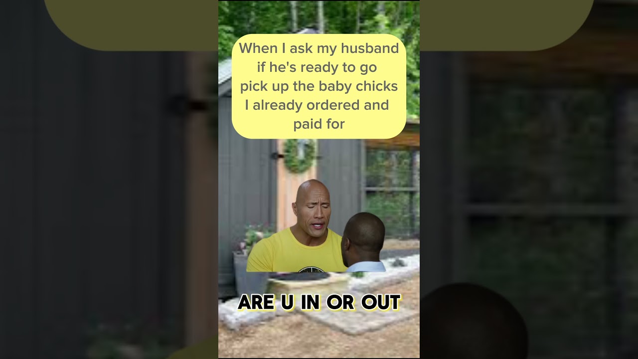 Don't Kill My Vibe 🐥 