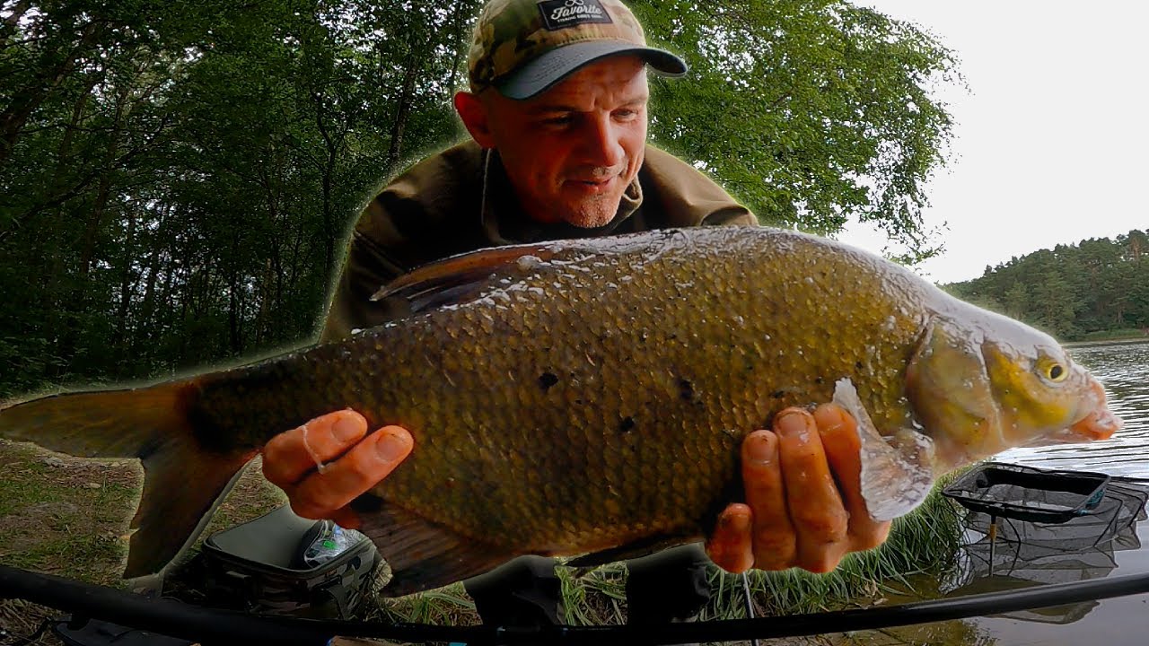 Piękne ZŁOTE ŁOPATY w środku lata !!!
