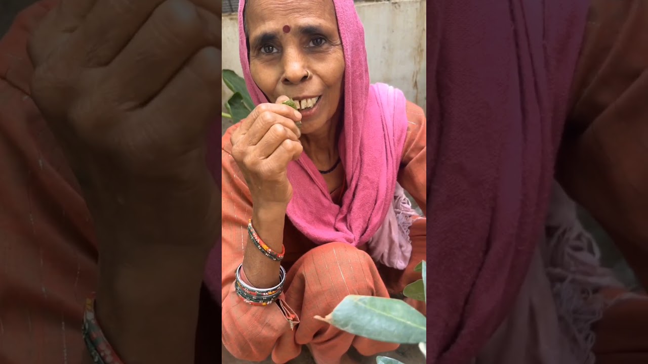 Aunty’s Surprising Reaction to Garam Masala Plant! 🌿 | Real Spice Smells 