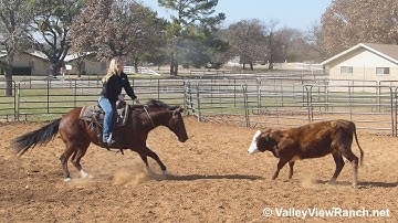 Stylish Masin***For info, price, etc., go to our website*** ValleyViewRanch.net