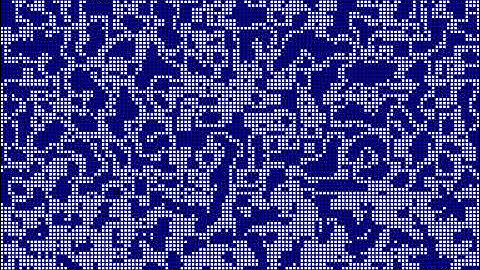 Cellular Automata