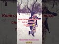 alinkapoltavka жарти tik tok