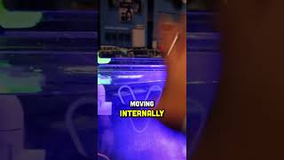 Random Flow Generators Improve Coverage