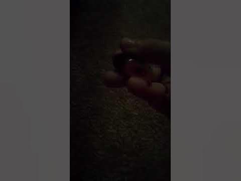 катриж - YouTube