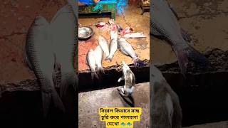 ভুতা যাচ্ছে মাছ ধরতে ক্ষীর নদীর খালে 🐟👹👺 #bhoot #youtubeshorts #shorts #funny #fish #viral #trending