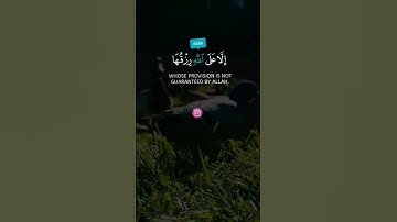 القارئ | ابراهيم العسيري #تلاوة_خاشعة #القرآن_الكريم #تلاوات #قرآن #quran #تلاوة #القرآن