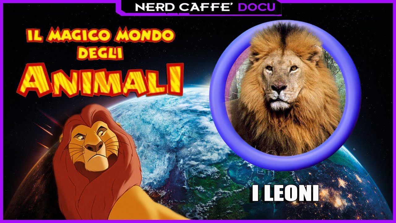 Il Magico Mondo Degli Animali - Ep. 19 - I Leoni - Nerd Caffè Docu