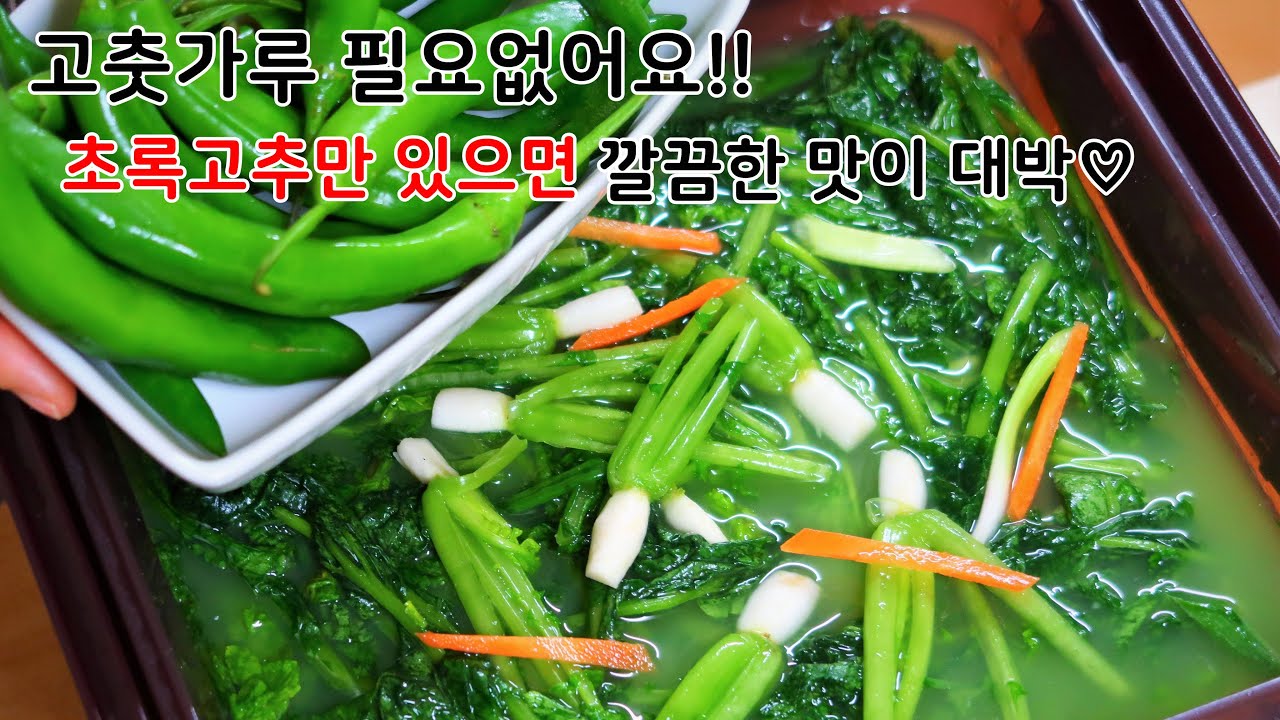 하얀열무물김치 풋고추와 청양고추로 풋내 없이 깔끔시원칼칼한 국물 맛있게 담는법 - YouTube 하얀열무물김치 풋고추와 청양고추로 풋내 없이 깔끔시원칼칼한 국물 맛있게 담는법 - Youtube