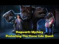 Protecting the stone side quest harry potter hogwarts mystery
