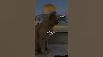 فديتك روحي يا روح الفؤاد Explore اكسبلور 