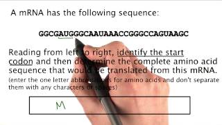 Problem 04 - Tales from the Genome