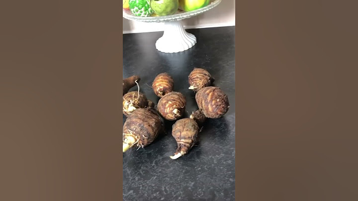How to grow Taro |Arbi | kochu at home #foryou #fy #gardening #garden #gardeningtips #shorts #viral