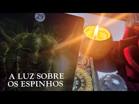 ATENTOS AO PORTAL 11/11/25! LEITURA FORTE #tarot #portal1111