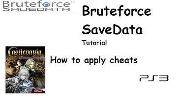 Bruteforce Save Data Tutorial - How to apply cheats (Castlevania: Harmony of Despair)