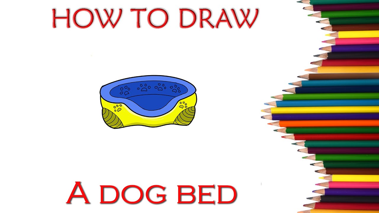 How To Draw A Dog Bed Step By Step Guide Easy Drawing YouTube
