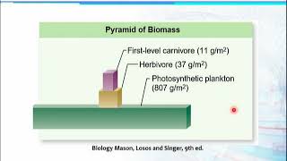 BT101_Topic010