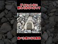 誘惑に勝てる裏技笑　#shorts