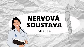 NERVOVÁ SOUSTAVA - Mícha