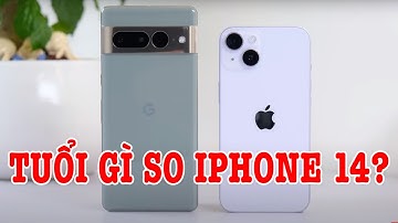Google Pixel 7 tuổi gì so với iPhone 14?