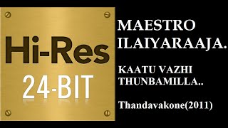 Video thumbnail of "Kaatu vazhi(24Bit Hires) I I Thandavakone(2011)(Unreleased) I I Ilaiyaraaja"