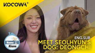 Meet AOA's Seolhyun's Adorable Floofy Dog: Deongchi! | Home Alone EP532 | KOCOWA+